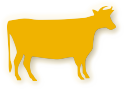 bovine de vanzare