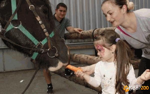 ponei bland pentru copii