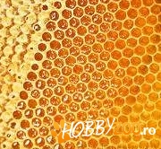 Miere de albine si familii