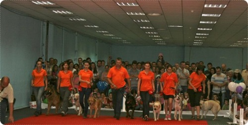 evenimente pet expo