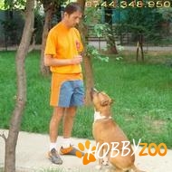 Scoala de dresaj canin