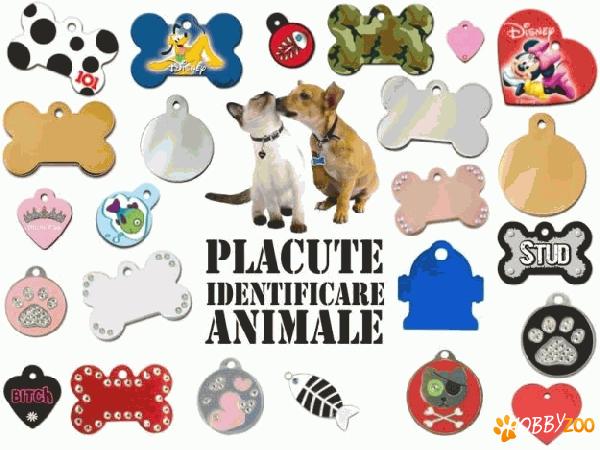 Medalioane Personalizate