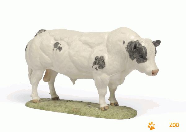 De vanzare tauras Belgian blue