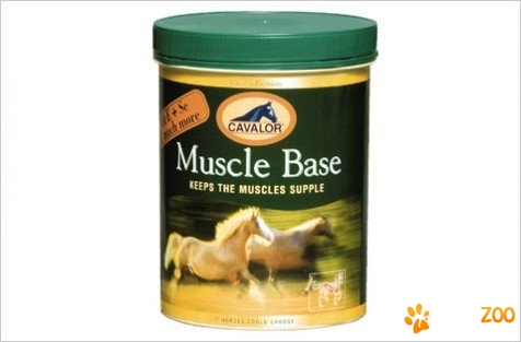 Cavalor Muscle Base pt cai