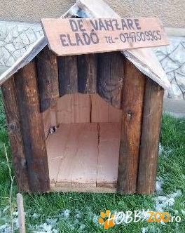 Cotete Caini Mici si Mari