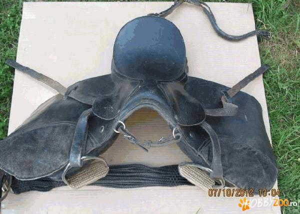 sea  echitatie   profesionala