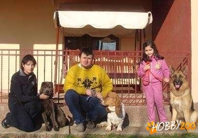 pensiune canina Ploiesti