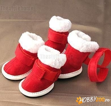 Cizmulite de catei si accesorii