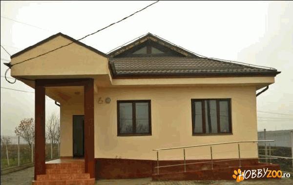 Dresaj Pensiune canina Ploiesti