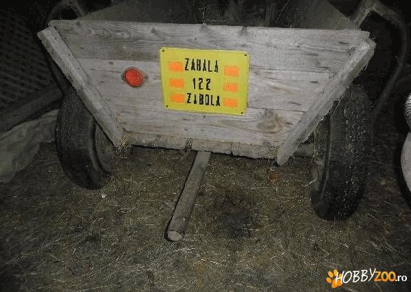 caruta stare buna de functionare