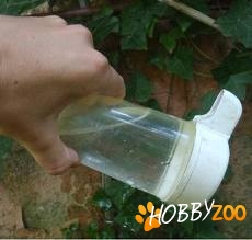 Vase de apa pentru pasari