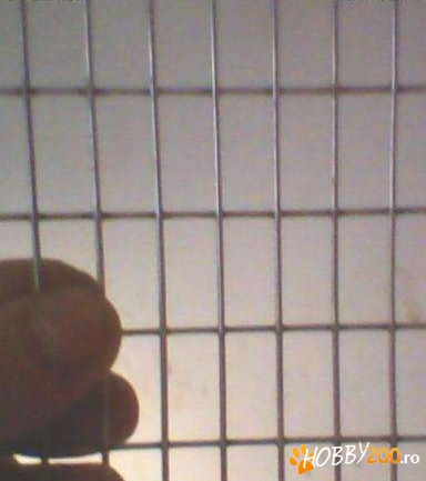 Plasa sudata zincata pt custi