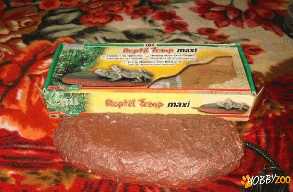 de vanzare accesorii reptile