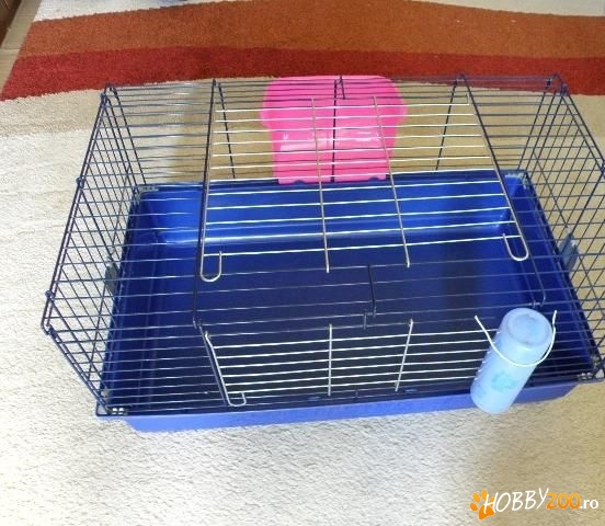 IMAC CAVIA Easy Blue 
