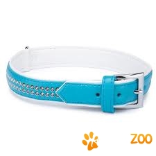 Zgarda albastra pisici