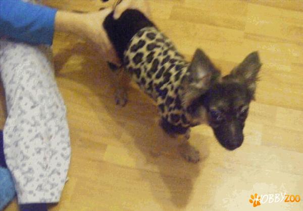 bluza noua flausata  talie mica