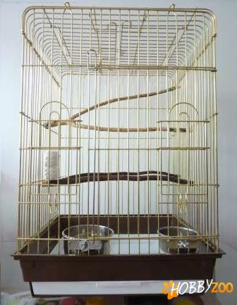 deschidere superioara