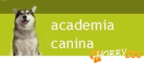 Academia Canina