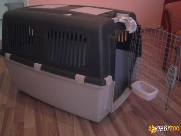 Cusca plastic pentru transport caine
