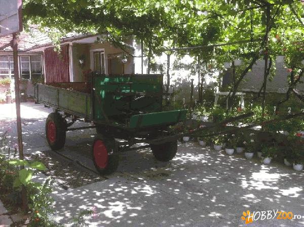 Caruta bine intretinuta