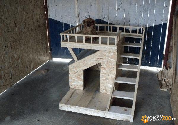 Cusca pentru caini      