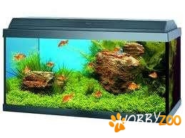 acvariu juwel filtru extern 
