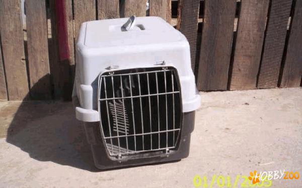 cusca transport animale