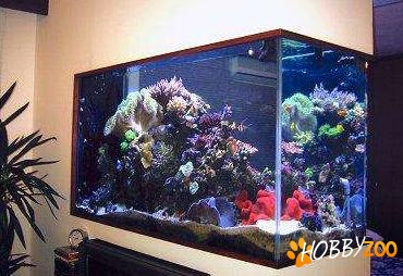 servicii intretinere acvarii