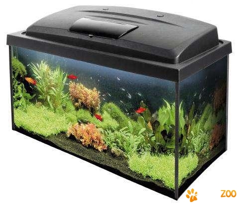 Acvariu  Danio  45  l