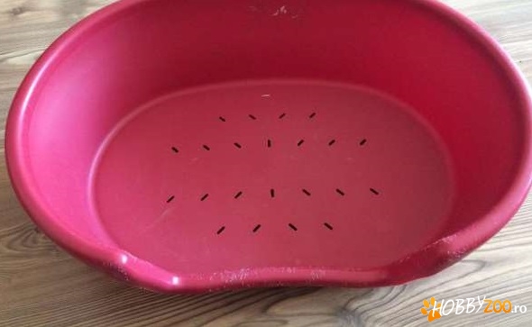 Cos din plastic catel sau pisica