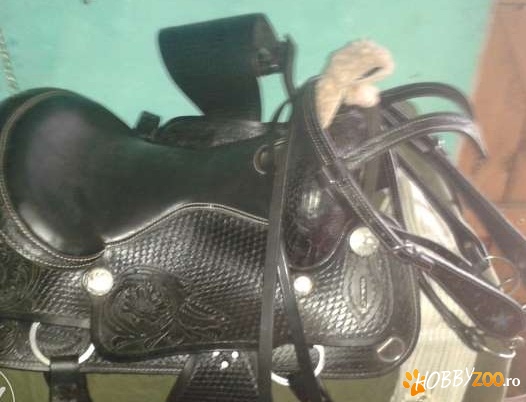 Saua noua adusa din America