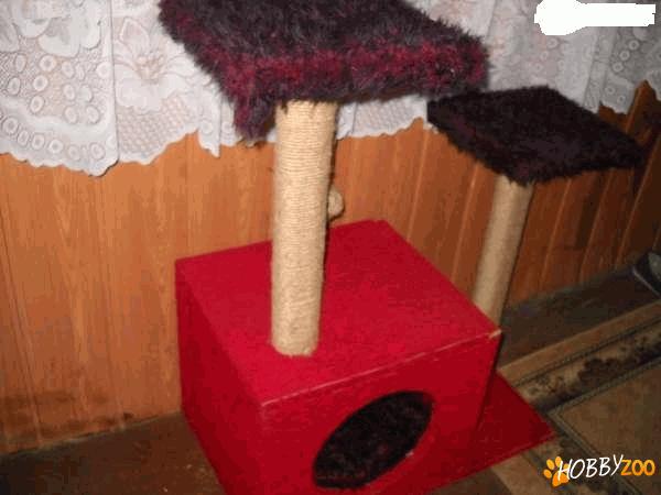 casuta de joaca pentru pisici