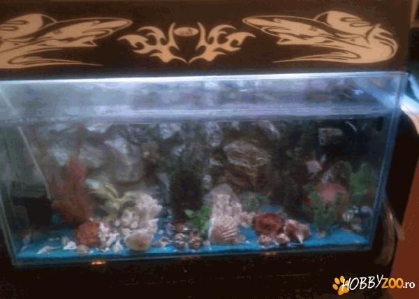 Acvariu spatios pentru pesti