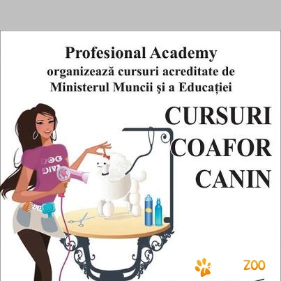Curs Groomer, Grooming