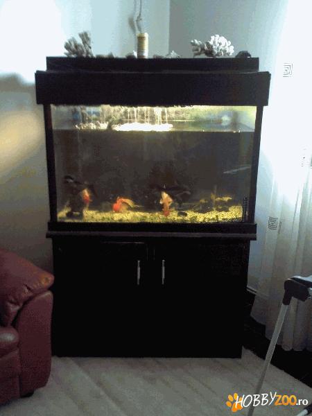 Vand acvariu 400 l home made