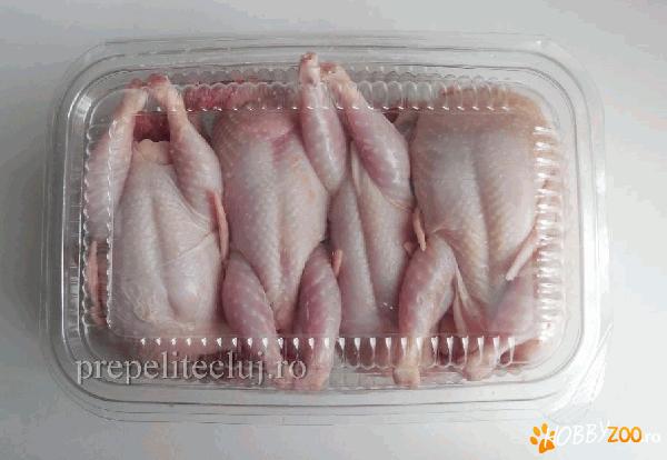 Caserola carne de prepelita