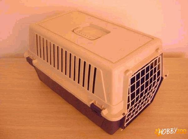 cusca pentru transport catei