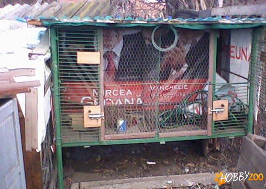cusca din fier pentru iepuri