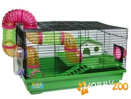 Cusca design Hamsteri