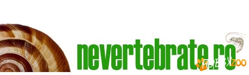 Petshop Online Nevertebrate