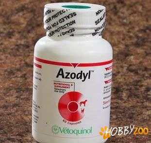 Azodyl Flacon 60 comprimate