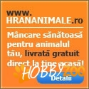 Livram la domiciliu mancare de animale