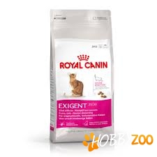 Royal Cat Exigent Savour