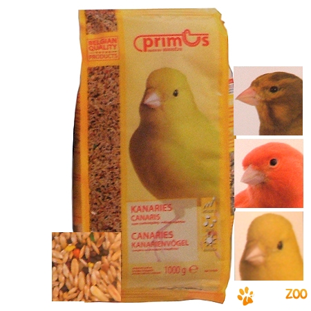 Primus Canari 