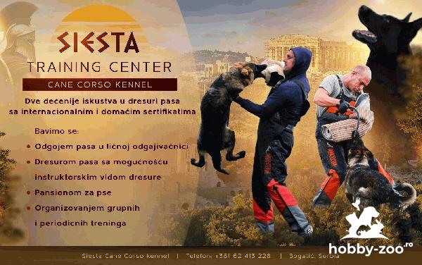 Centru de dresaj de câini