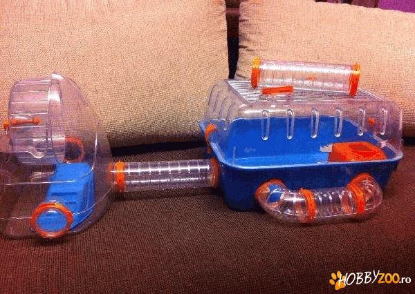 Cusca hamsteri accesorizata