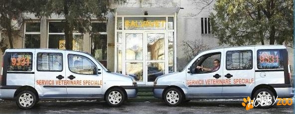 Servicii Veterinare Salvavet