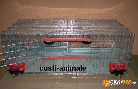 Maternitae pentru pui de prepelita