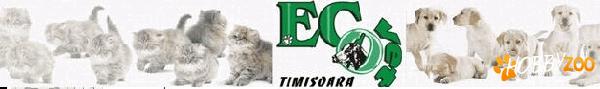 Ecovet Timisoara