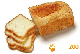 paine rebut pentru animale